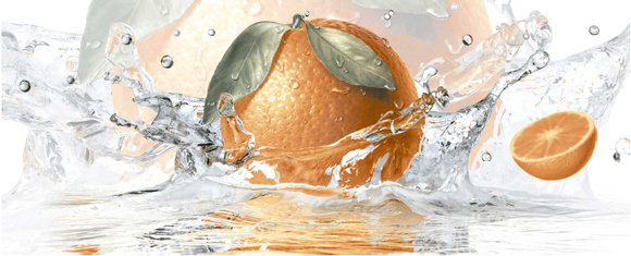 Декорни плочки Decor Citrus 2 23.5x58