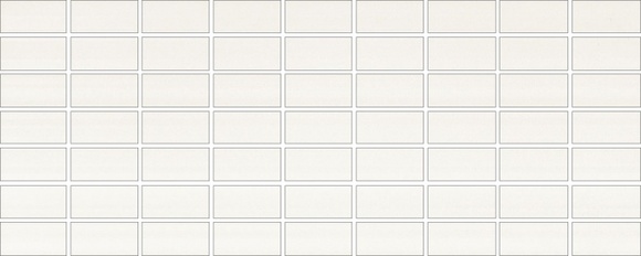 Декорни плочки Oganza Biala Mozaika 20x50
